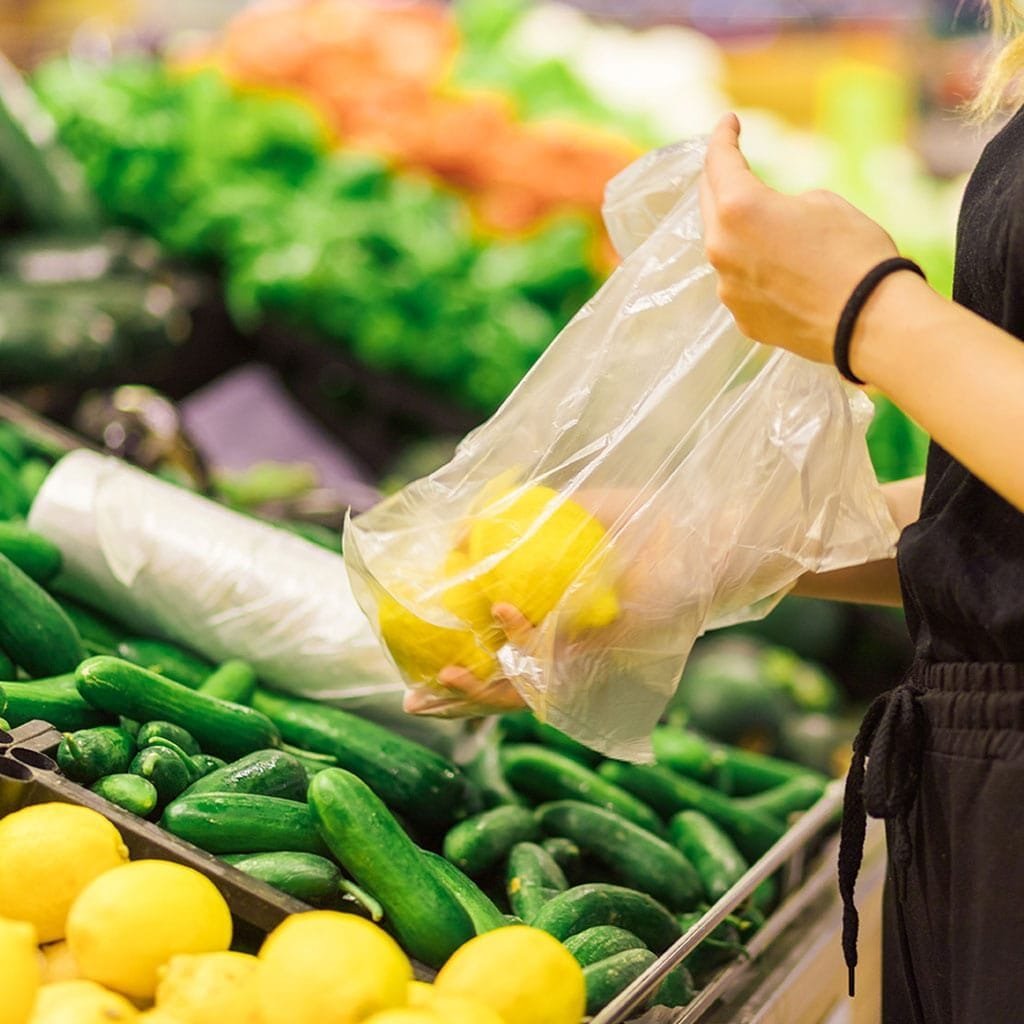 Vegetable Bags of Compostable Material for Shopping