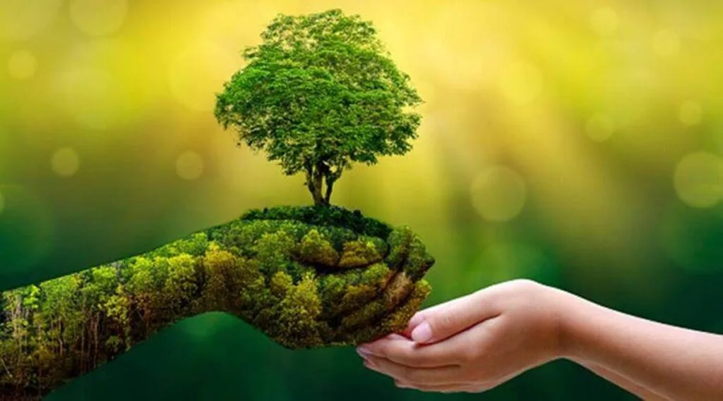 Biodegradable Bags Manufacturers Near Me