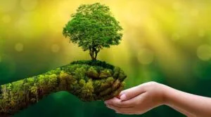 Biodegradable Bags Manufacturers Near Me